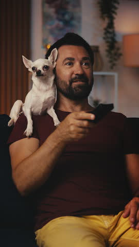 Happy middle-aged man and his Chihuahua puppy watching TV, bonding at home