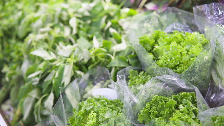 Closeup view of fresh leaf vegetables and herbs in a grocery store. Various greens. Spring vitamin set. Vegetarian healthy food. Product of organic farming.