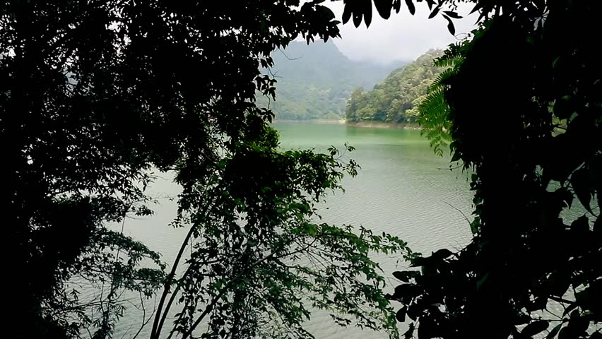 View of a serene green lake framed by shadows of foliage in Balinsasayao Twin Lake Natural Park in Sibulan Philippines