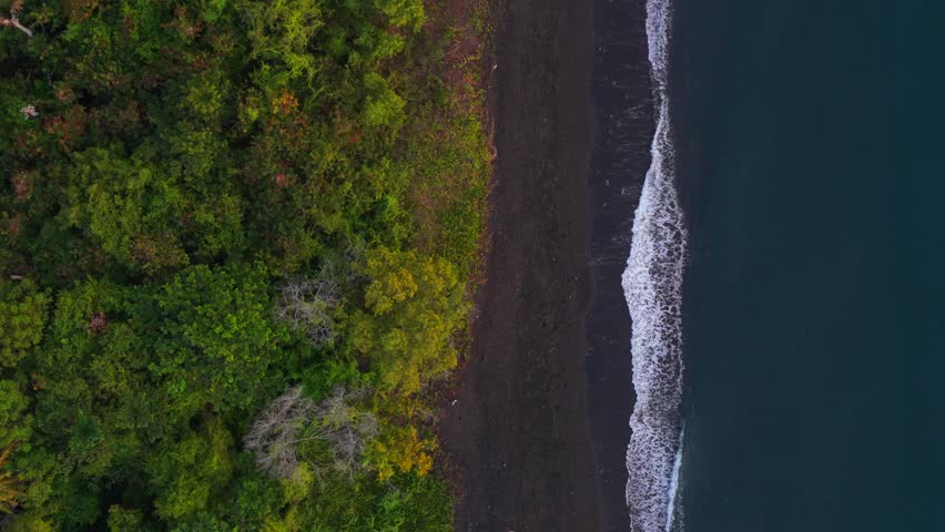 Direct overhead aerial of lush treeline meeting blacksand beach with bright white shorebreak and teal water