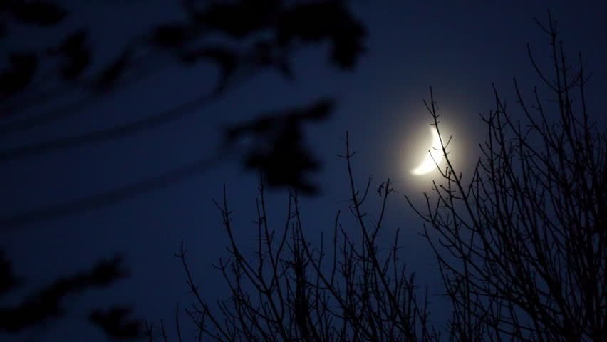 Crescent moon and winter trees.