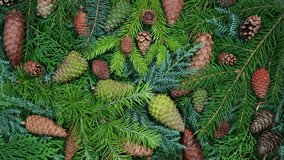 Rotating Pine Cones and Evergreen Branches Winter Christmas Background for Festive Projects. Overhead view on spruce and thuja branches with cones, top view vertical video - Powered by Shutterstock - Get 15% off with code: PIKWIZARD15