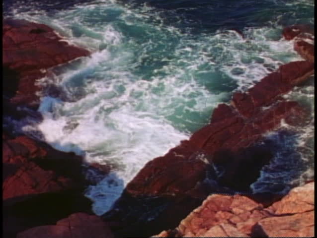 Rocky cliff and cove, sea and surf, pines, close up, Acadia National Park