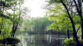 Ukrainian river in the spring