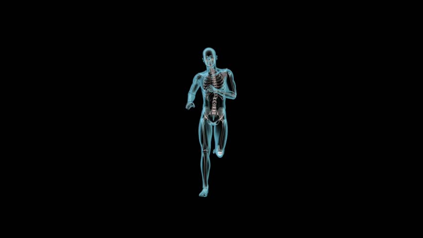 X-ray human body of a man with skeleton running loop, alpha channel is present