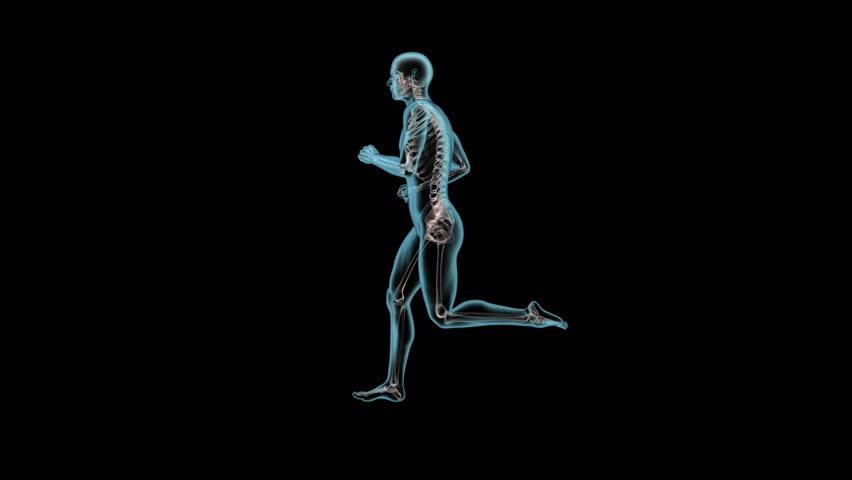 X-ray human body of a man with skeleton running (loop, alpha channel) Royalty-Free Stock Footage #3869387