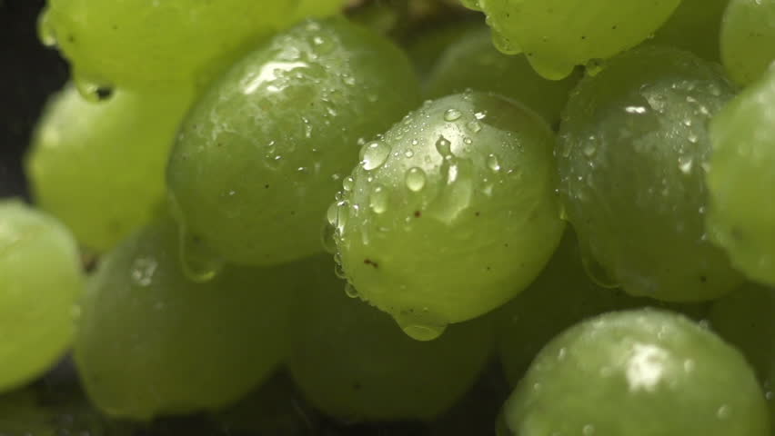 bunch of green grapes on a black background with water drops