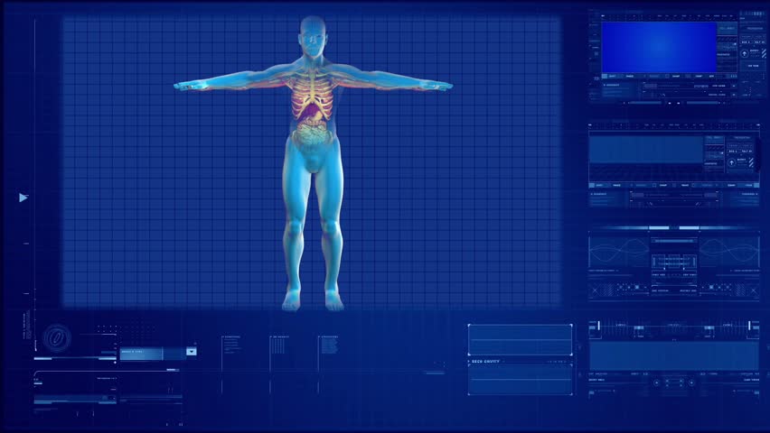 X-ray scans and anatomical study of human back Royalty-Free Stock Footage #3870071