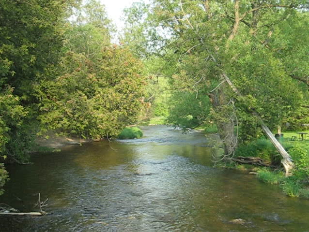 peaceful river in the park