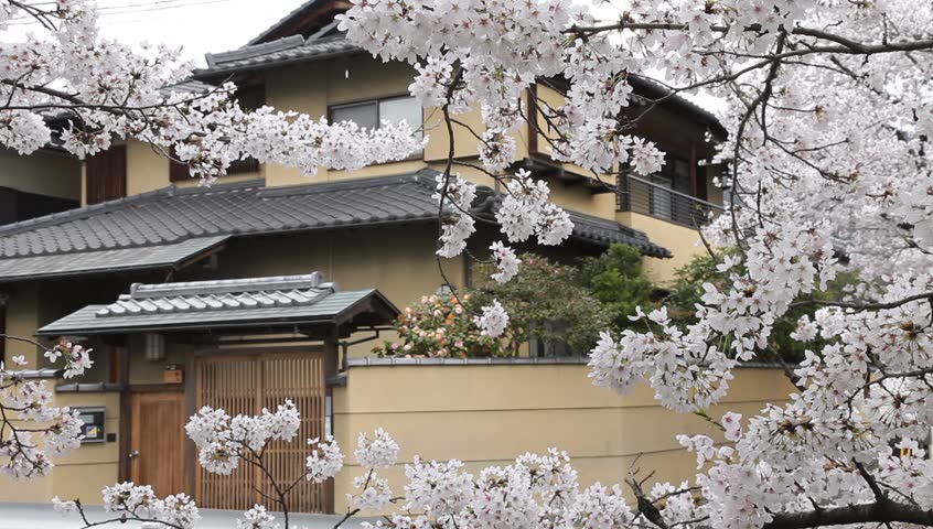 Japan S Traditional Minka Homes Gain A New Following Mansion Global