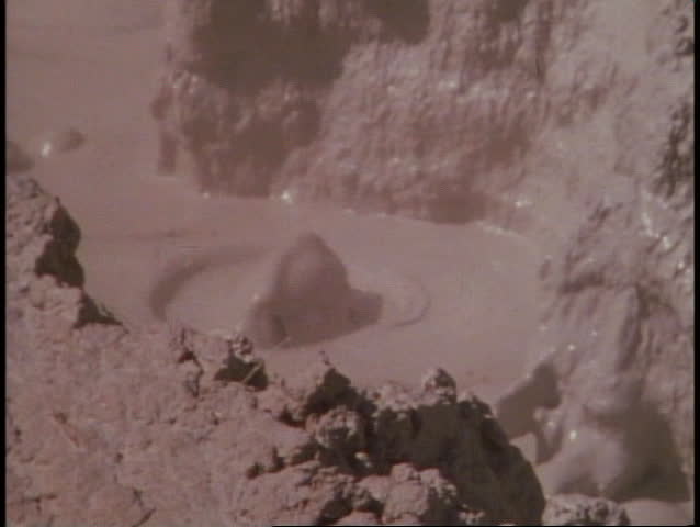 Yellowstone National Park, paint pots, gray bubbling mud, close up