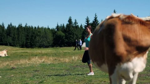 Young woman jogging among cows on a tableland