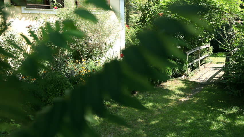 Young couple taking a walk on a countryside