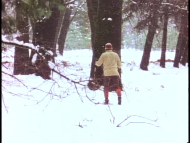 Yosemite National Park, California, cross country skier through trees, snow falling