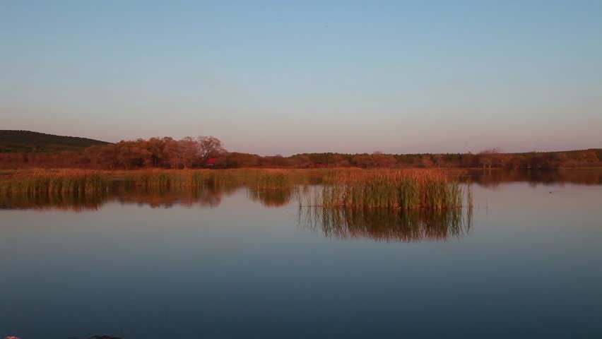 Peaceful swamp lake