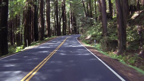 Driving through redwood forest POV fast timelapse. Sequoia National Park Sierra Nevada mountains. Established 1890. 404,063 acres. The park is famous for its giant sequoia trees, worlds largest trees.