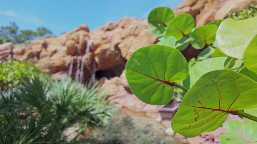 Lush green tropical plants in foreground, waterfall cascading down rocky mountain in background. Bright sunny day at Magic Kingdom, Florida. For travel, theme park, nature