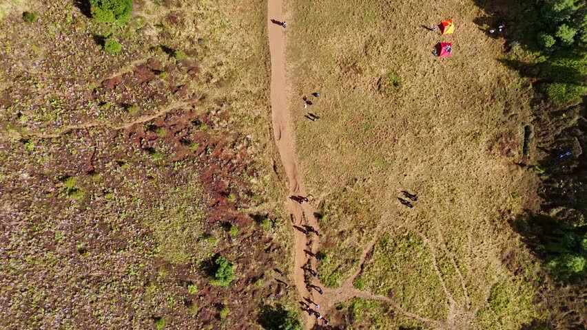 Top-down aerial view of a dirt hiking trail running through a grassy mountain field with colorful tents and scattered hikers enjoying the outdoors.