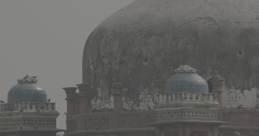 New Delhi, Delhi, India. Doves birds flying above Babur
