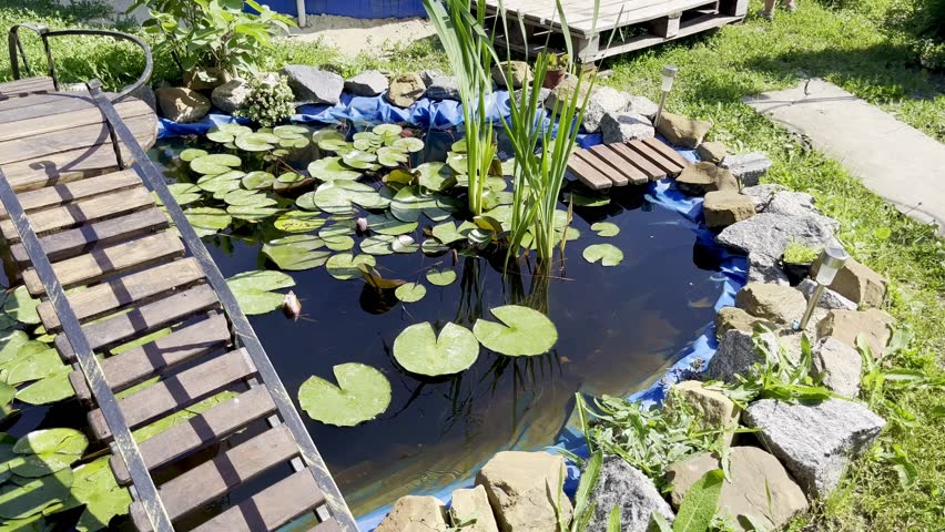 Peaceful garden pond with blooming water lilies, wooden bridge and natural stones, horizontal summer landscape video for nature and eco concepts.