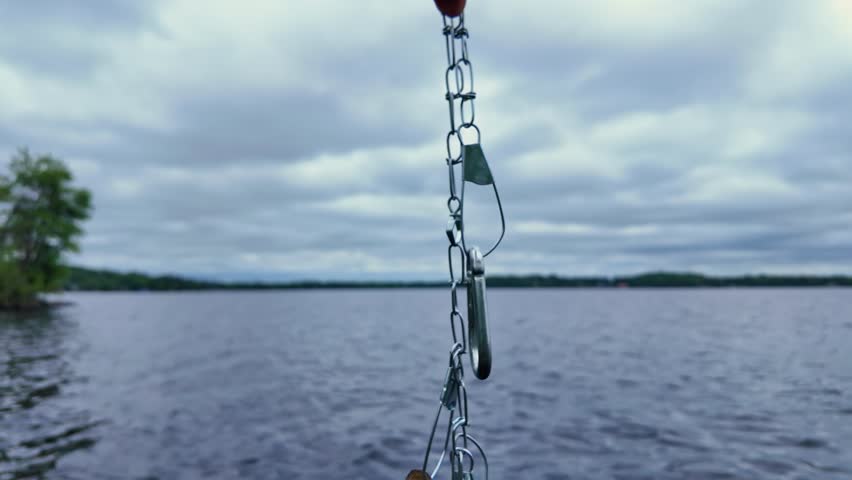 Pumpkinseed fish, rock bass and Smallmouth Bass, Smallie, on the chain, catch on the lake. Sport fish, found in lakes, ponds, rivers in North American freshwater. Family leisure water sports fishing.