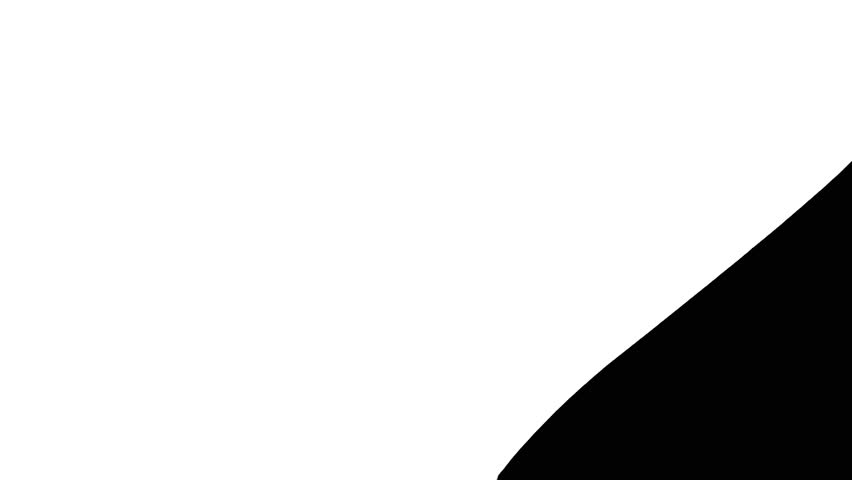 Transition black white brash effect 4k. 3D Illustration
