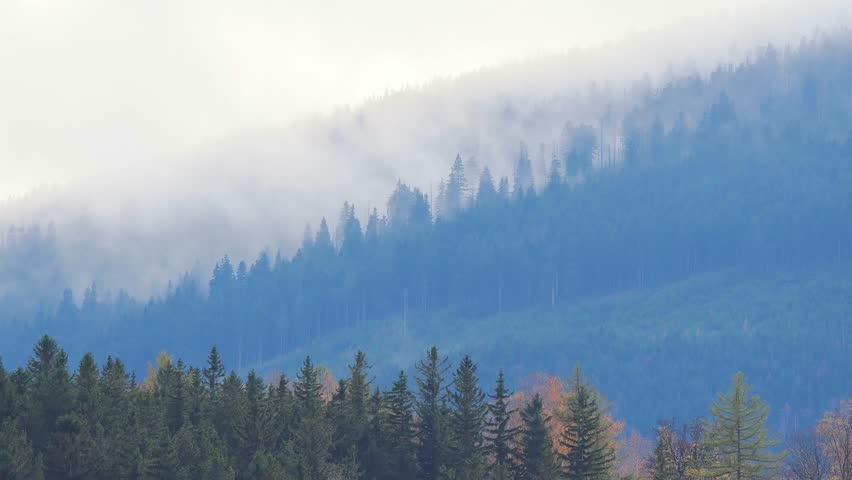 autumn landscape fog formation on slopes timelapse