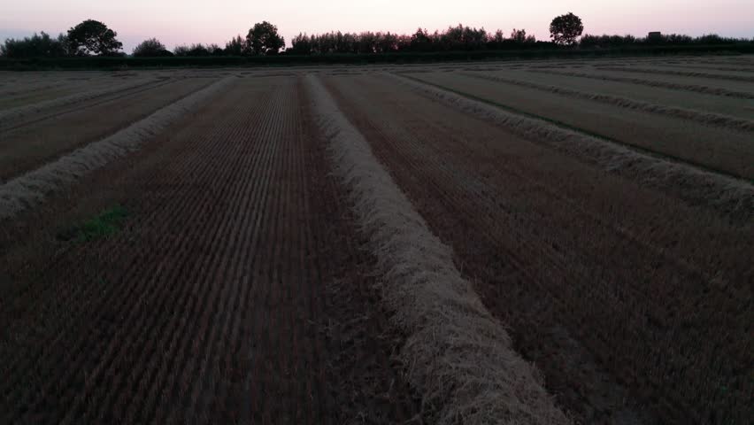 Drone ascending over serene farmland at dusk with glowing sunset horizon.