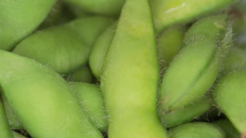 Closeup of boiled Edamame or boiled green soybeans, picked before they ripe