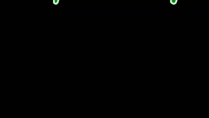 The bounce text "Thank you for following me" appears with text animator position and bounce effect, then disappears with a broken glass effect.