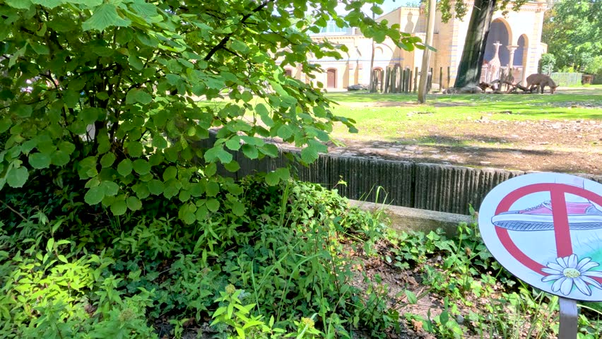 Camera pans across a lush, sunlit park area in Berlin, focusing on a no entry warning sign surrounded by greenery near a zoo enclosure