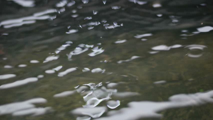close up of water bubbles when it rains