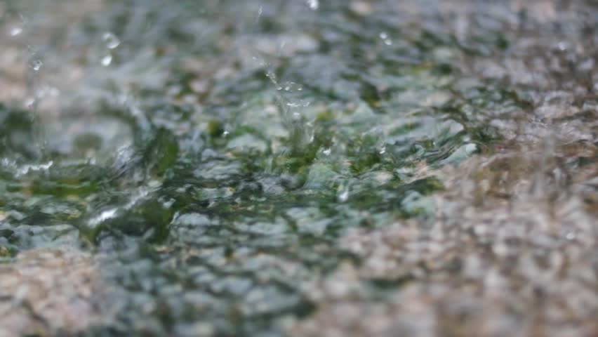 close up of water droplets during rain