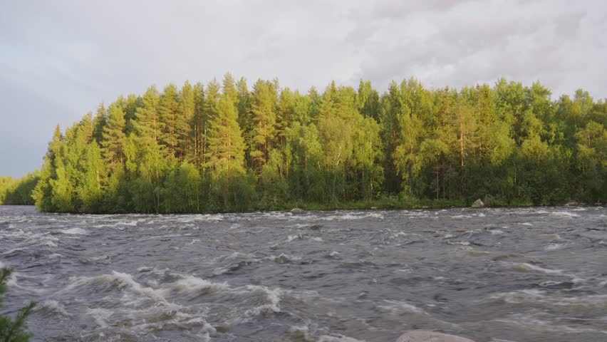 Experience the stunning Scenic Forest River View, with beautiful rapids and lush greenery