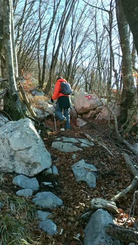 A tourist walks up a slope using trekking poles and following the red and white Knafelc marking. Autumn hike through the forest in the mountains. Route to the top of Siljevik, Orjen, Montenegro
