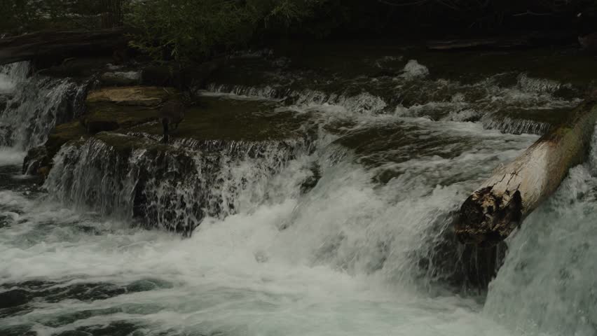 Multi-level cascades in the upper Niagara River tumble over rocky ledges and driftwood, creating foamy whitewater.