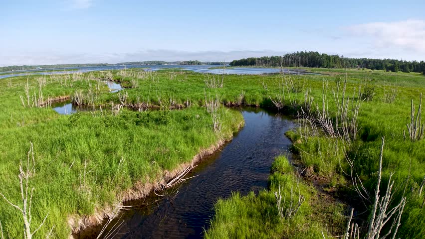Aerial drone view of a calm stream winding through lush green marshland under a clear summer sky.