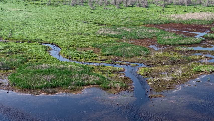 Aerial drone view of winding streams and wetlands meeting the shoreline in Michigan’s Upper Peninsula.
