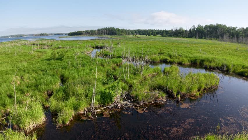 Aerial view along wetland inlet to Lake Huron