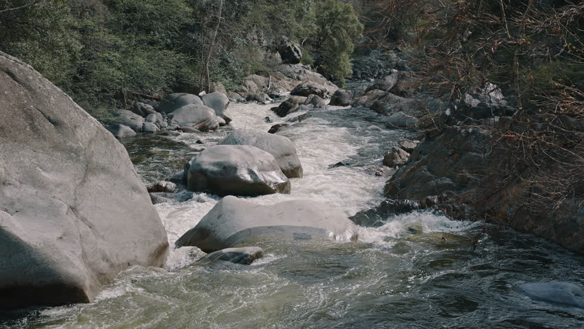 Mountain river with boulders flowing through forest landscape