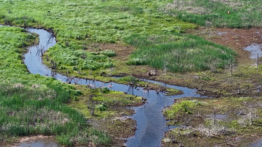 Aerial drone view of a winding stream flowing through a lush green marshland.