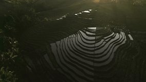 The misty morning at Belimbing Rice Terrace showcases calm water-filled paddies reflecting the sky as gentle sun rays filter through, offering a serene and picturesque Bali scenery. - Powered by Shutterstock - Get 15% off with code: PIKWIZARD15