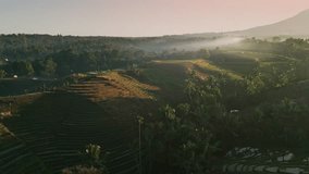 Belimbing Rice Terrace glows under the soft light of sunrise, with mist drifting across the fields and mountains rising in the background, capturing Bali’s serene beauty. - Powered by Shutterstock - Get 15% off with code: PIKWIZARD15