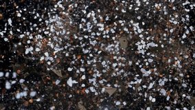 Flavored spices seasoning for soup and main courses scatter on black background. Isolated. Close-up. Slow motion - Powered by Shutterstock - Get 15% off with code: PIKWIZARD15