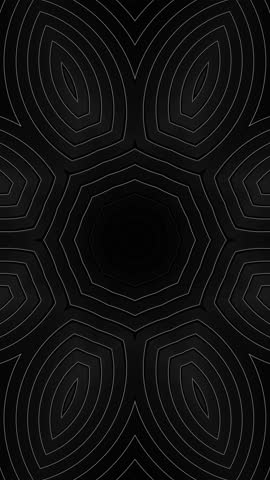 Black and white photo of hexagonal pattern. Kaleidoscope VJ loop.