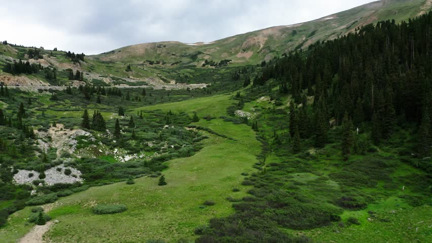 Drone shot over a meadow in Colorado