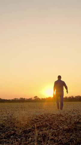 Farmer walks at sunset. farming. farmer silhouette. farmer with digital tablet in his hands, walking through a mown field, at sunset or the rising sun. agriculture farming business concept.