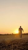 Farmer walks at sunset. farming. farmer silhouette. farmer with digital tablet in his hands, walking through a mown field, at sunset or the rising sun. agriculture farming business concept. - Powered by Shutterstock - Get 15% off with code: PIKWIZARD15