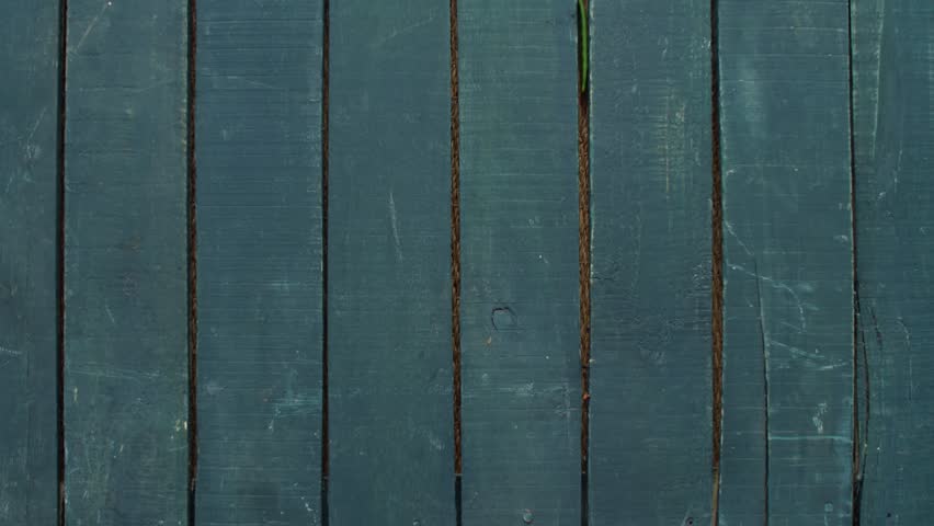 Fresh eggplant and ripe melon artfully arranged on rustic blue wooden planks, a vibrant still life for culinary inspiration