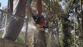 Cutting Tree With Chainsaw And Sawdust Flying Towards Camera In Slow Motion - Powered by Shutterstock - Get 15% off with code: PIKWIZARD15